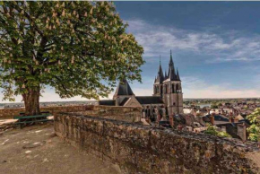Centre historique de Blois - appartement neuf